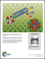 Graphical abstract: Inside back cover