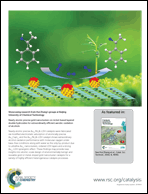 Graphical abstract: Back cover