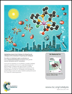 Graphical abstract: Back cover