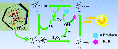 Graphical abstract: A novel hexanuclear titanium(iv)-oxo-iminodiacetate cluster with a Ti6O9 core: single-crystal structure and photocatalytic activities