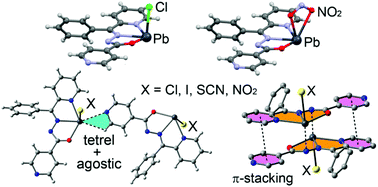 Graphical abstract: Concurrent agostic and tetrel bonding interactions in lead(ii) complexes with an isonicotinohydrazide based ligand and several anions