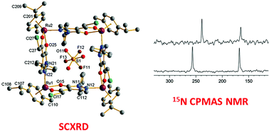 Graphical abstract: Self-assembly of arene ruthenium acylpyrazolone fragments to tetranuclear metallacycles. Molecular structures and solid-state 15N CPMAS NMR correlations