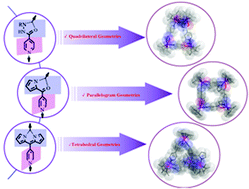 Graphical abstract: Construction of tetranuclear metallacycles based on half-sandwich Ir, Rh fragments and pyridyl-substituted ligands with different coordinate vectors