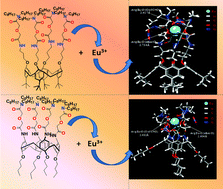 Graphical abstract: Understanding the complexation of Eu3+ with three diglycolamide-functionalized calix[4]arenes: spectroscopic and DFT studies