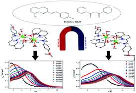 Graphical abstract: Structures and magnetic properties of several phenoxo-O bridged dinuclear lanthanide complexes: Dy derivatives displaying substituent dependent magnetic relaxation behavior