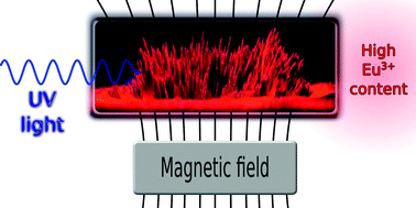 Graphical abstract: Luminescent and magnetic materials with a high content of Eu3+-EDTA complexes