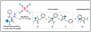 Graphical abstract: Substituent effects and chemoselectivity of the intramolecular Buchner reaction of diazoacetamide derivatives catalyzed by the di-Rh(ii)-complex