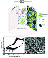 Graphical abstract: Probing the electrochemical properties of biopolymer modified EMD nanoflakes through electrodeposition for high performance alkaline batteries