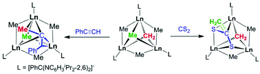 Graphical abstract: Small molecule activation by mixed methyl/methylidene rare earth metal complexes