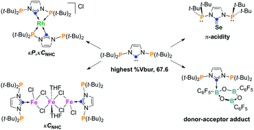 Graphical abstract: Transition metal (Rh and Fe) complexes and main-group (Se and B) adducts with N,N′-diphosphanyl NHC ligands: a study of stereoelectronic properties