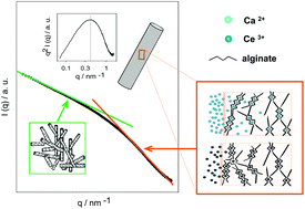 Graphical abstract: Ca(ii) and Ce(iii) homogeneous alginate hydrogels from the parent alginic acid precursor: a structural study