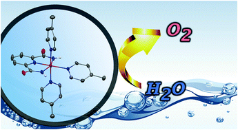 Graphical abstract: A ruthenium water oxidation catalyst based on a carboxamide ligand