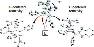 Graphical abstract: Reaction of a 2,4,6-triphenylphosphinine ferrate anion with electrophiles: a new route to phosphacyclohexadienyl complexes