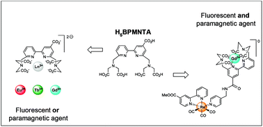 Graphical abstract: Optical and relaxometric properties of monometallic (EuIII, TbIII, GdIII) and heterobimetallic (ReI/GdIII) systems based on a functionalized bipyridine-containing acyclic ligand