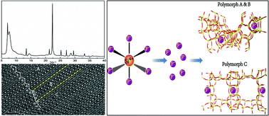 Graphical abstract: Synthesis of polymorph A-enriched beta zeolites in a HF-concentrated system