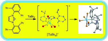 Graphical abstract: Coordination complexes of niobium and tantalum pentahalides with a bulky NHC ligand
