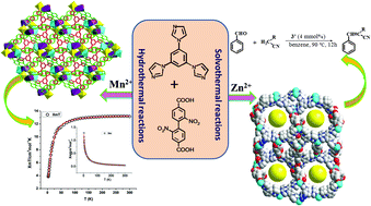 Graphical abstract: Synthesis, structure, and magnetic and catalytic properties of metal frameworks with 2,2′-dinitro-4,4′-biphenyldicarboxylate and imidazole-containing tripodal ligands