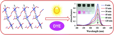 Graphical abstract: The influence of different coordination environments on one-dimensional Cu(ii) coordination polymers for the photo-degradation of organic dyes