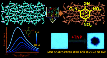 Graphical abstract: Mixed ligand two dimensional Cd(ii)/Ni(ii) metal organic frameworks containing dicarboxylate and tripodal N-donor ligands: Cd(ii) MOF is an efficient luminescent sensor for detection of picric acid in aqueous media