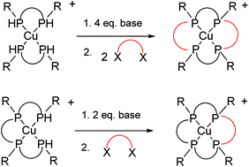 Graphical abstract: Synthesis of tetraphosphine macrocycles using copper(i) templates