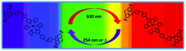 Graphical abstract: Dimethyldihydropyrene–cyclophanediene photochromic couple functionalized with terpyridyl metal complexes as multi-addressable redox- and photo-switches