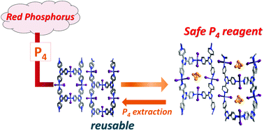 Graphical abstract: Safe P4 reagent in a reusable porous coordination network