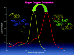 Graphical abstract: The effect of “on/off” molecular switching on the photophysical and photochemical properties of axially calixarene substituted activatable silicon(iv)phthalocyanine photosensitizers