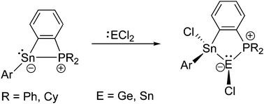 Graphical abstract: Reaction of stannylene phosphorus Lewis pairs with dichlorides of germanium, tin and lead – the formation of base stabilized stannyl stannylenes/germylenes and redox reaction with PbCl2