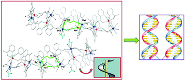 Graphical abstract: Two 3d–4f double helical chains including [Dy2M2]n (M = NiII and CoII) cores exhibiting slow magnetic relaxation