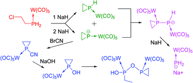 Graphical abstract: The chemistry of parent phosphiranide in the coordination sphere of tungsten