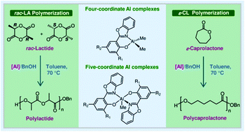Graphical abstract: Aluminum complexes containing salicylbenzoxazole ligands and their application in the ring-opening polymerization of rac-lactide and ε-caprolactone