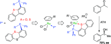 Graphical abstract: Ruthenium complexes of P-stereogenic phosphines with a heterocyclic substituent