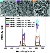 Graphical abstract: Core–shell–shell heterostructures of α-NaLuF4:Yb/Er@NaLuF4:Yb@MF2 (M = Ca, Sr, Ba) with remarkably enhanced upconversion luminescence