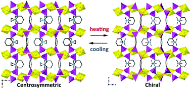 Graphical abstract: Atypical temperature-dependence of symmetry transformation observed in a uranyl phosphonate