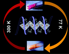 Graphical abstract: Manifestation of helicity in one-dimensional iodobismuthate