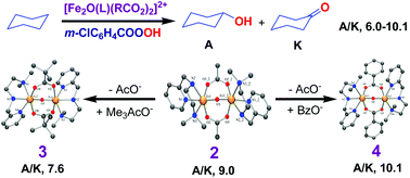 Graphical abstract: Non-heme μ-Oxo- and bis(μ-carboxylato)-bridged diiron(iii) complexes of a 3N ligand as catalysts for alkane hydroxylation: stereoelectronic factors of carboxylate bridges determine the catalytic efficiency