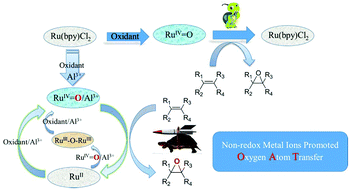 Graphical abstract: Synergistic oxygen atom transfer by ruthenium complexes with non-redox metal ions