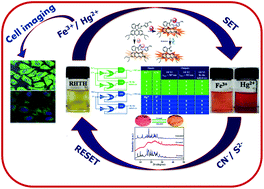 Graphical abstract: A smart switchable module for the detection of multiple ions via turn-on dual-optical readout and their cell imaging studies