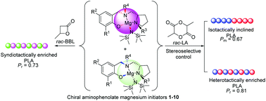 Graphical abstract: Diastereoselective synthesis of chiral aminophenolate magnesium complexes and their application in the stereoselective polymerization of rac-lactide and rac-β-butyrolactone