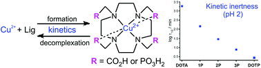 Graphical abstract: Formation and decomplexation kinetics of copper(ii) complexes with cyclen derivatives having mixed carboxylate and phosphonate pendant arms