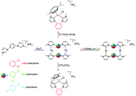 Graphical abstract: Metal complexes with di(N-heterocyclic carbene) ligands bearing a rigid ortho-, meta or para-phenylene bridge