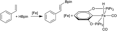 Graphical abstract: Direct synthesis of dicarbonyl PCP-iron hydride complexes and catalytic dehydrogenative borylation of styrene