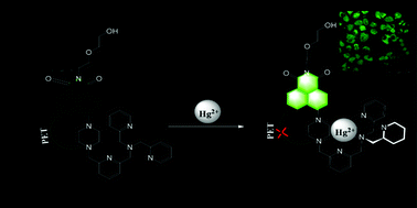 Graphical abstract: A DPA-based highly selective and sensitive fluorescent probe for mercuric ions and its imaging in living cells