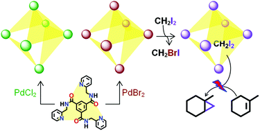 Graphical abstract: Photoreaction of adsorbed diiodomethane: halide effects of a series of neutral palladium(ii) coordination cages