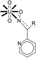 Graphical abstract: Binding of oxime group to uranyl ion