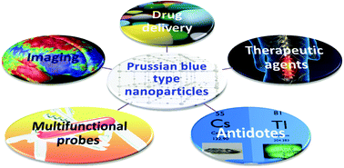 Graphical abstract: Prussian blue type nanoparticles for biomedical applications