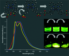 Graphical abstract: Regioisomerism in cationic sulfonyl-substituted [Ir(C^N)2(N^N)]+ complexes: its influence on photophysical properties and LEC performance