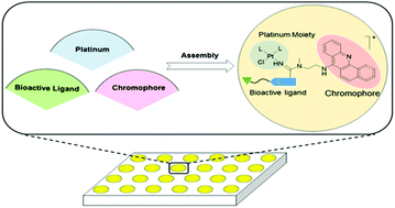 Graphical abstract: Linker design for the modular assembly of multifunctional and targeted platinum(ii)-containing anticancer agents