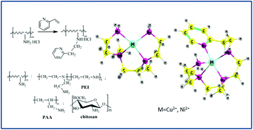 Graphical abstract: Metal ion binding by pyridylethyl-containing polymers: experimental and theoretical study