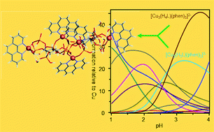 Graphical abstract: Synthesis, solid-state characterization and solution studies of new phytate compounds with Cu(ii) and 1,10-phenanthroline: progress in the structural elucidation of phytate coordinating ability